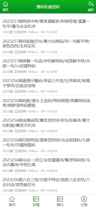 2024新澳门免费资料内部,精细化实施分析_BNB79.266极致版