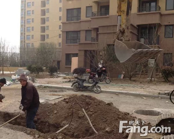 汽车饰品的销售 第430页