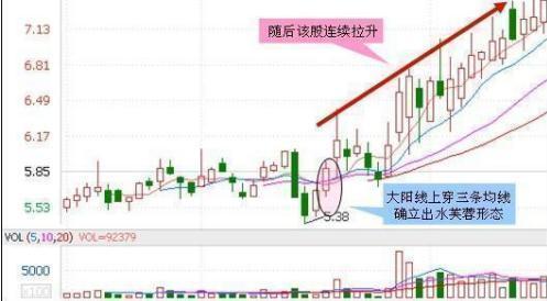 今晚上澳门特马开什,精准数据评估_WPN9.985明亮版