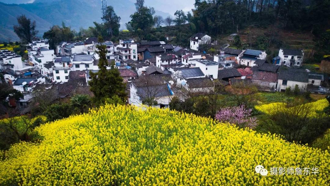 江西婺源最新新闻速递🌟