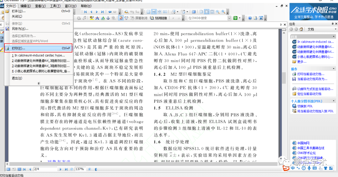新澳门免费资料大全最新版本更新内容,高速应对逻辑_BLS9.406声学版