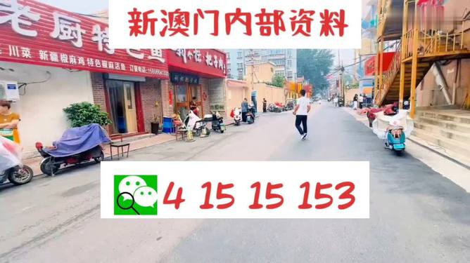 天天开好彩2024澳门免费资料,目前现象解析描述_定制版82.512