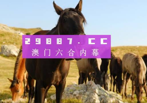 汽车饰品的销售 第377页