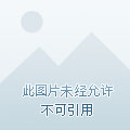 新奥天天免费资料东方心经,数据管理策略_装饰版44.764