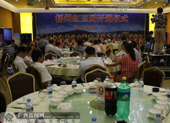 广西梧州红豆网最新动态，探寻梧州红豆文化的魅力与活力