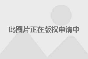 洗车服务 第373页