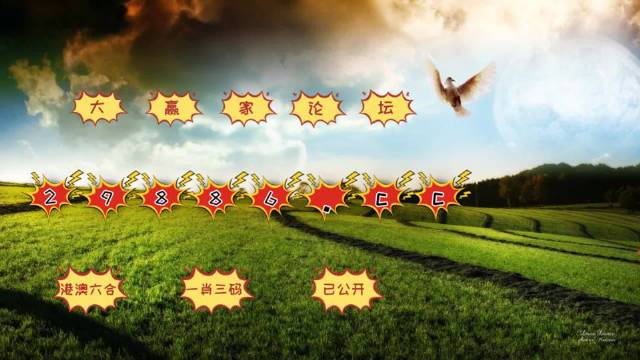 2024澳门六开奖结果,持续改进策略_模块版95.515