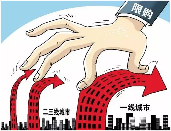 7777788888精准跑狗图正版,完善实施计划_多维版1.800