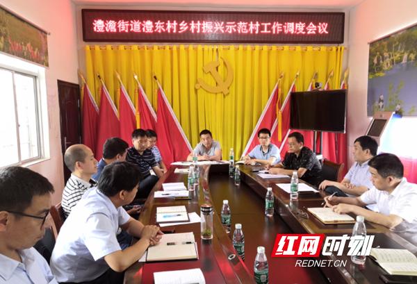 澧县最新动态，全面解读最新情况与观点
