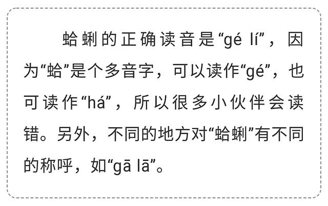 时尚热词背后的隐藏秘境，小巷特色小店探秘之旅