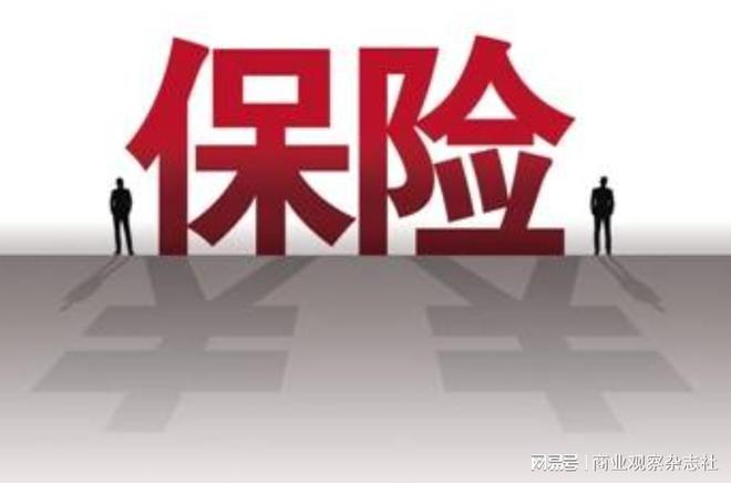 上市保险公司，成功之路探索与未来趋势展望