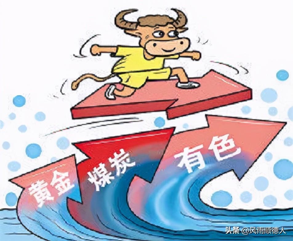 铜价行情下的自然之旅，寻找内心的宁静与平和