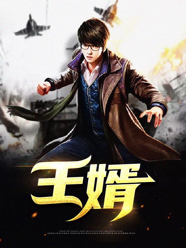 王婿新篇，时代变迁下的多维视角解读