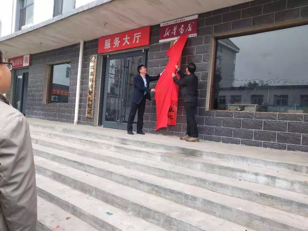 河北邢台最新动态详解，任务完成与技能学习指南