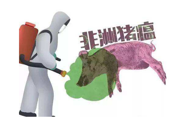 洗车服务 第265页