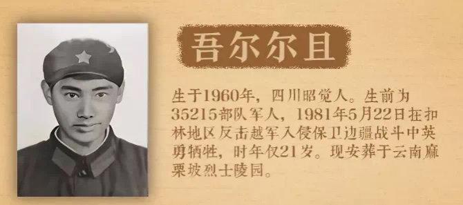 第1115页