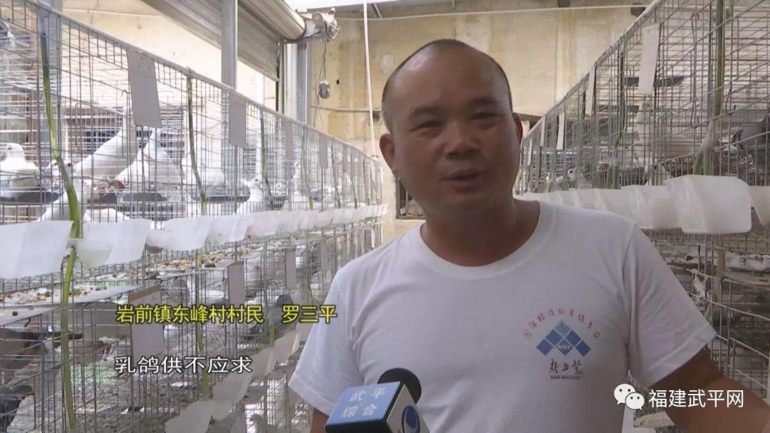 汽车及汽车配件 第242页