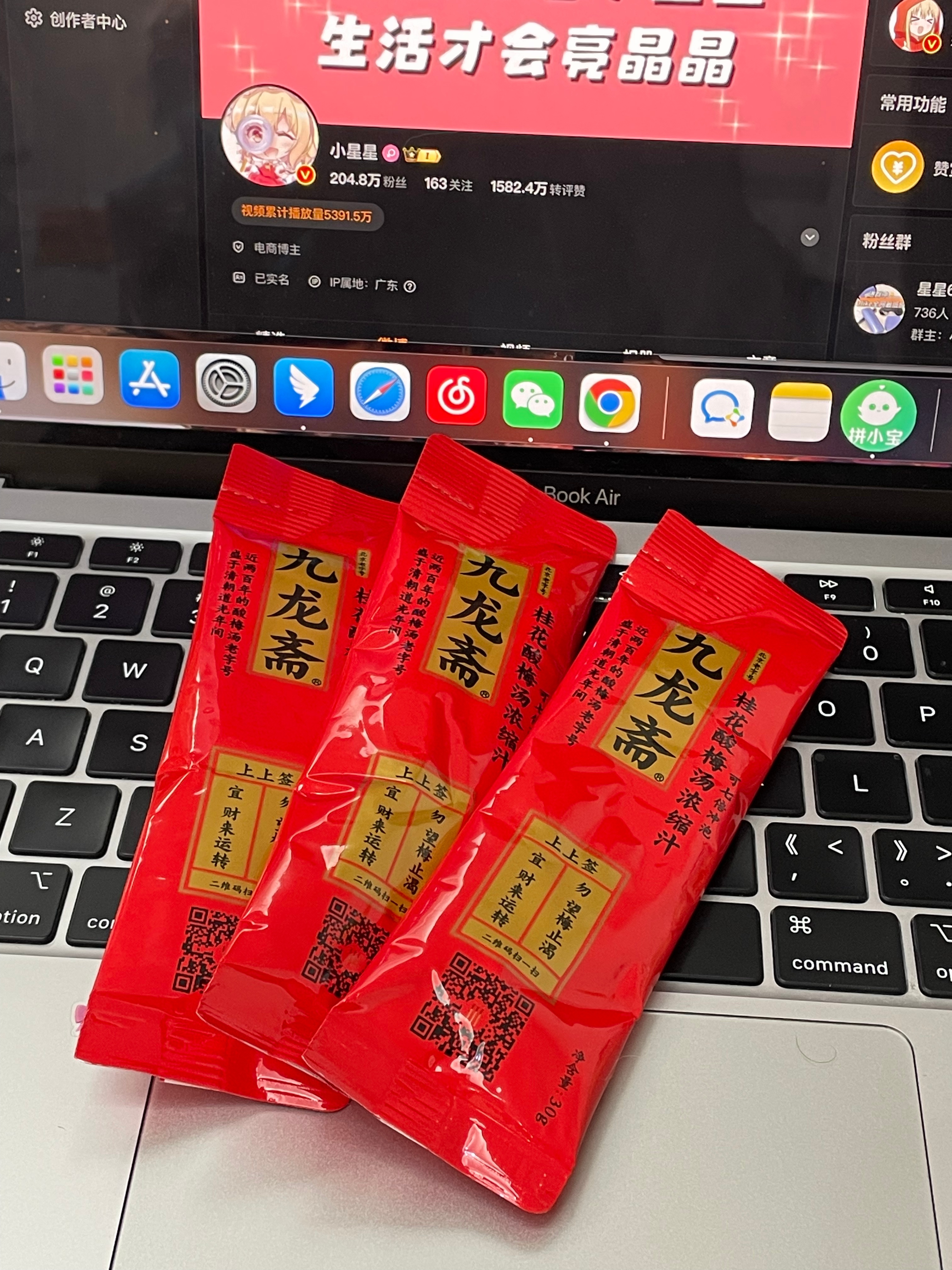 第1095页