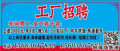 呼兰工厂女工招聘，应聘指南及技能提升秘籍大揭秘！