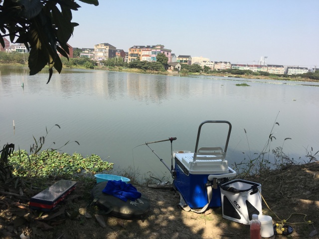 第817页