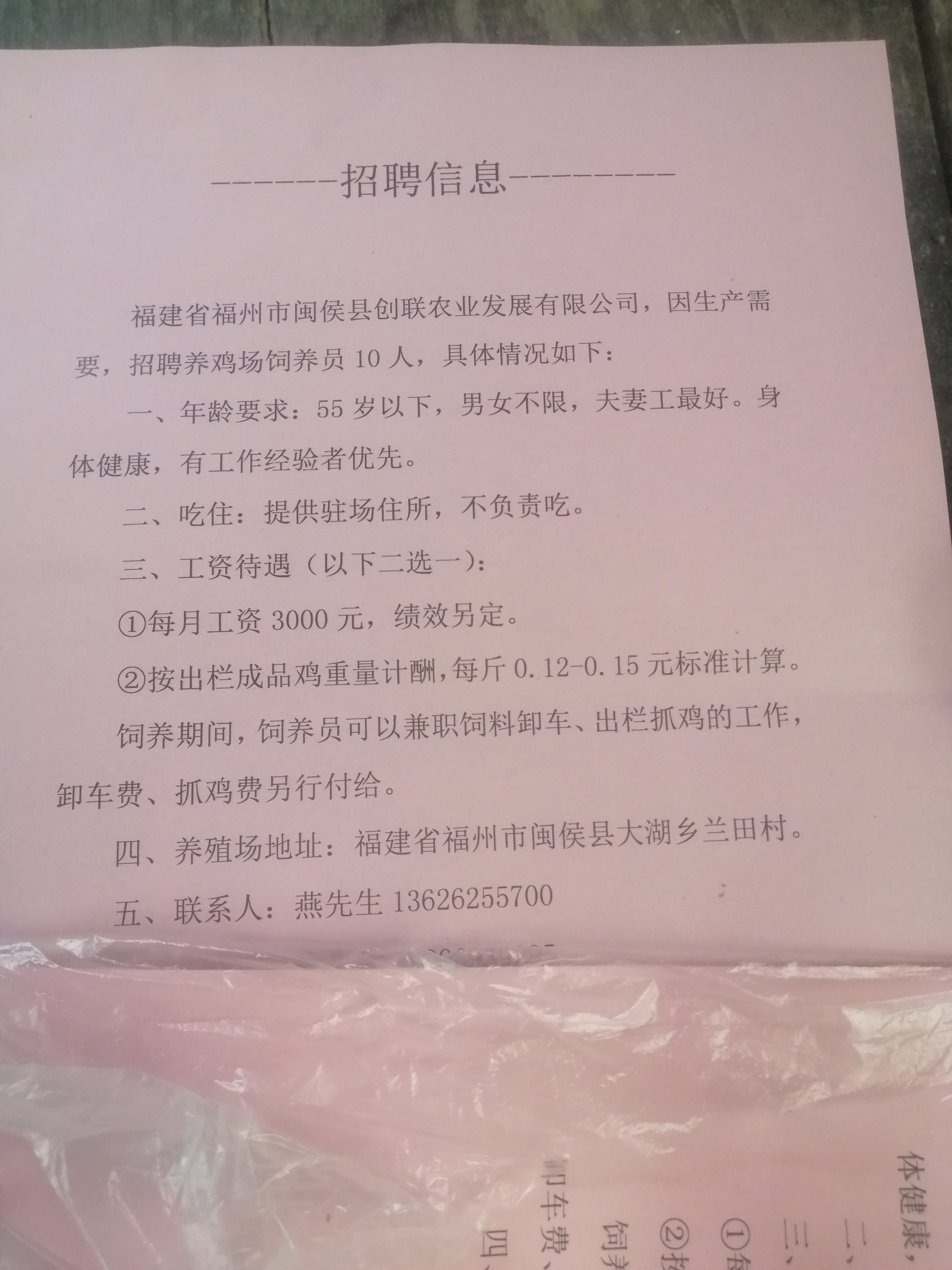 汽车饰品的销售 第167页