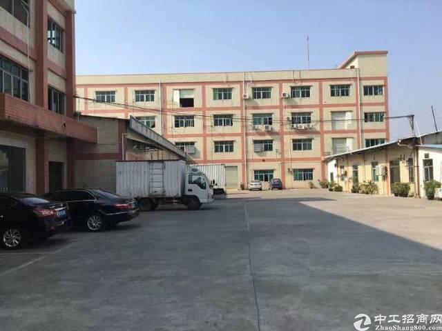 东莞常平最新招聘，时代脉搏与人才汇聚的交汇点