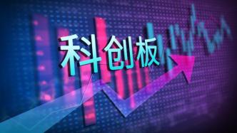 科创板股票最新动态，与自然美景的邂逅之旅
