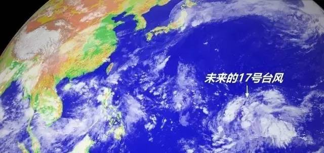 最新台风新胚胎11，多方观点探讨与解析