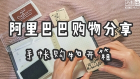 手账最新配开箱，色彩斑斓的书写盛宴