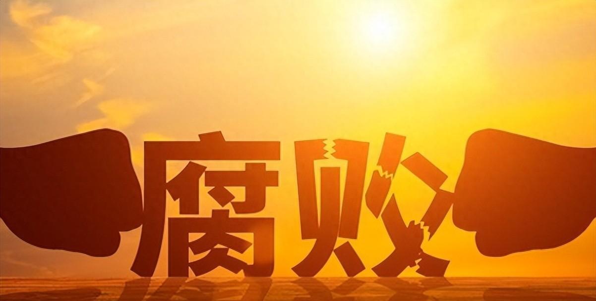 国家最新严查背景下的多方观点探析与行动反思