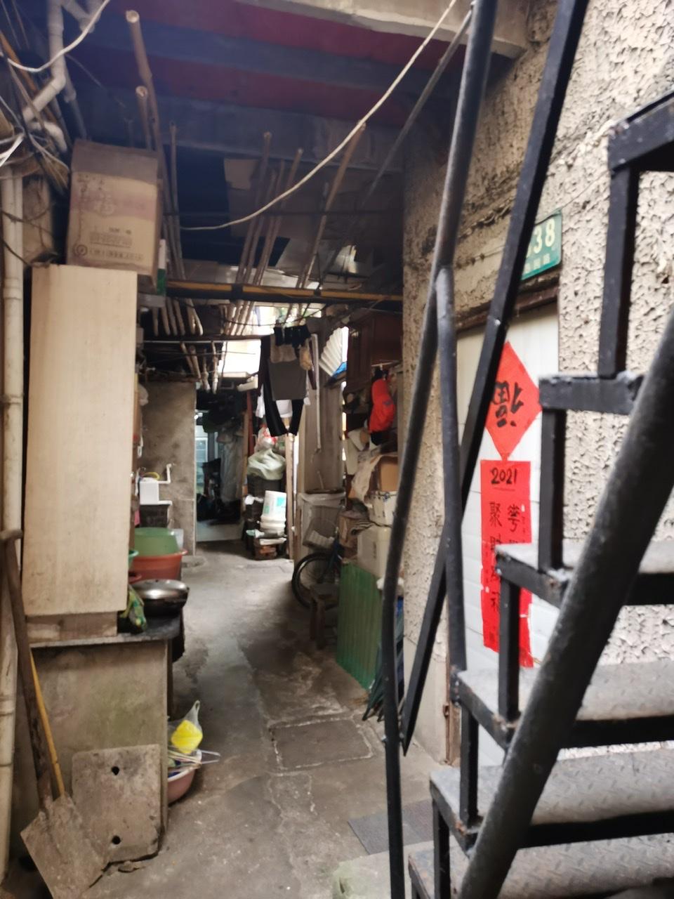 上海最新公告，自然美景之旅，探寻内心平和与宁静的旅程