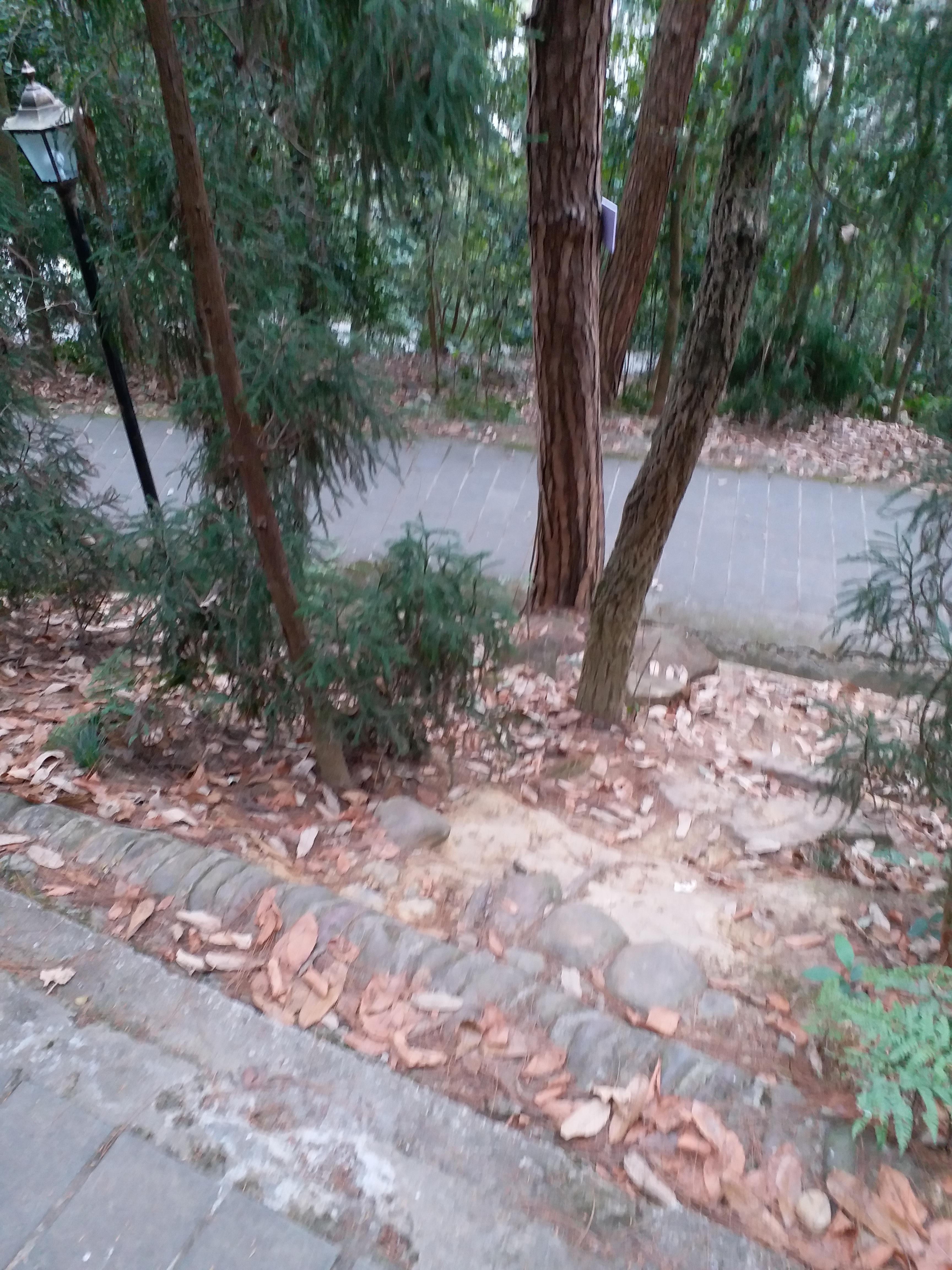 成都最新疫情观点深度论述，疫情现状与应对策略分析
