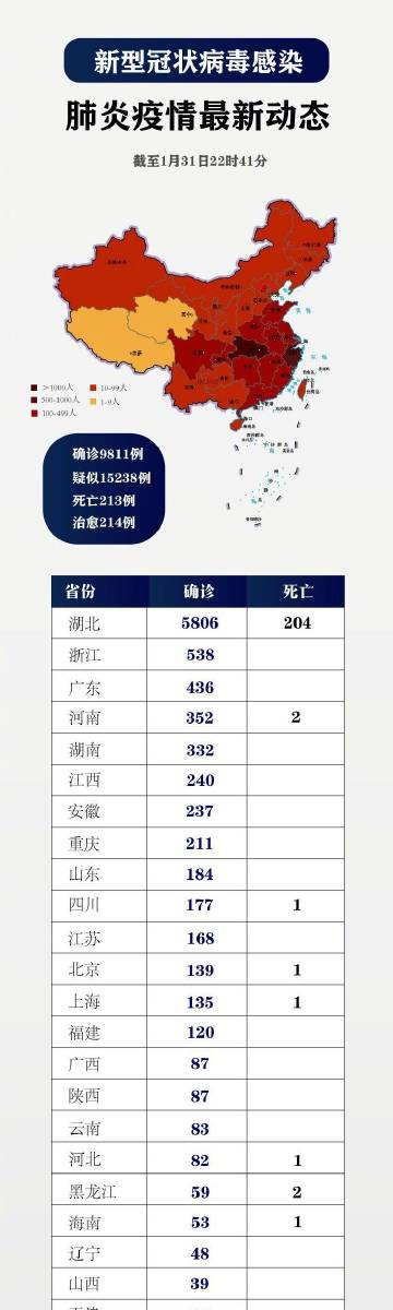 疫情最新数据更新，小巷深处的独特风味依旧引人关注