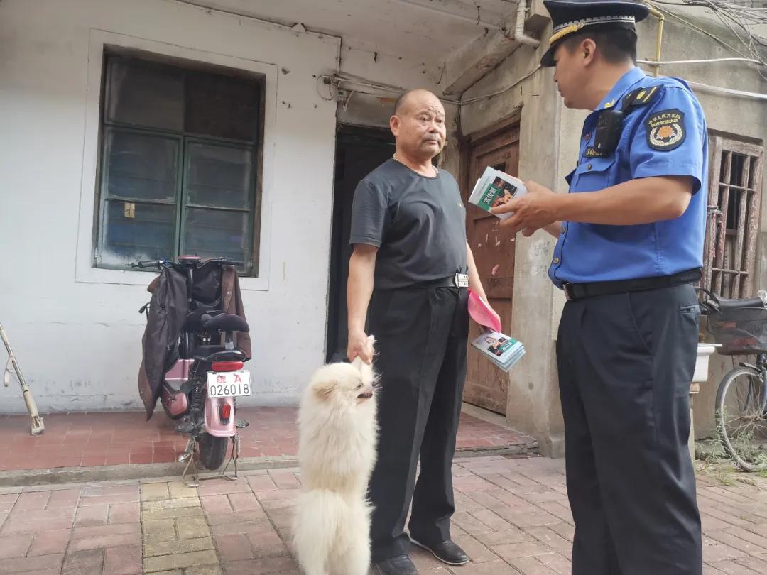 文明养犬新动态，励志之旅中的自信与成就感提升之路